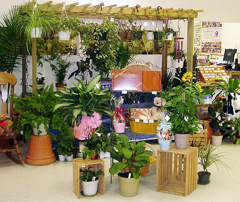 flower shop cincinnatus new york